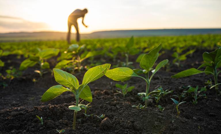 Empowering communities