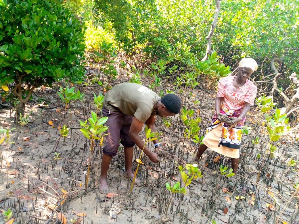 Our team working with the community