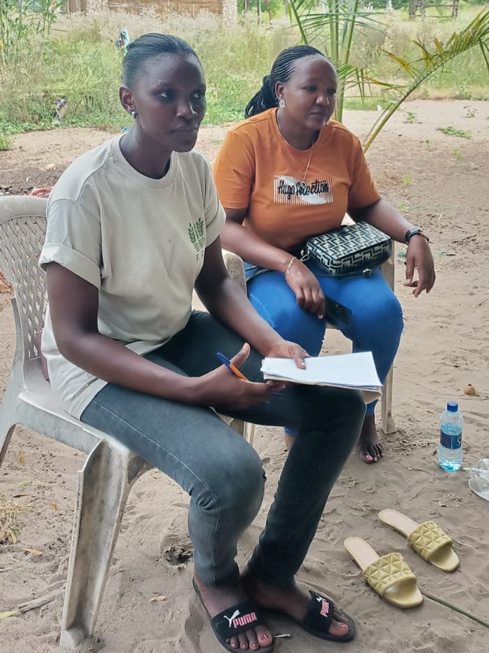 Mangrove Restoration