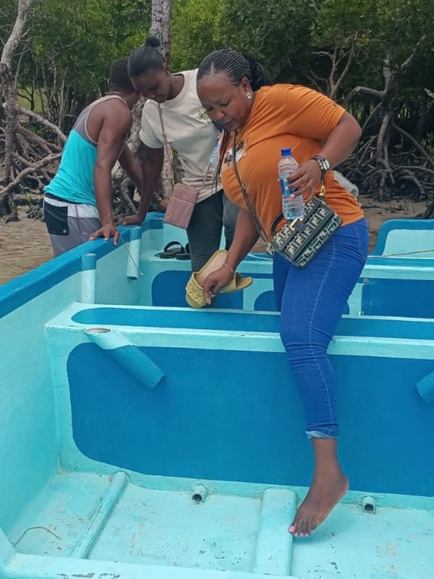 Mangrove Restoration
