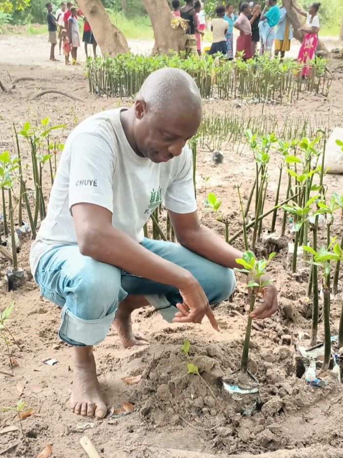 Mangrove Restoration