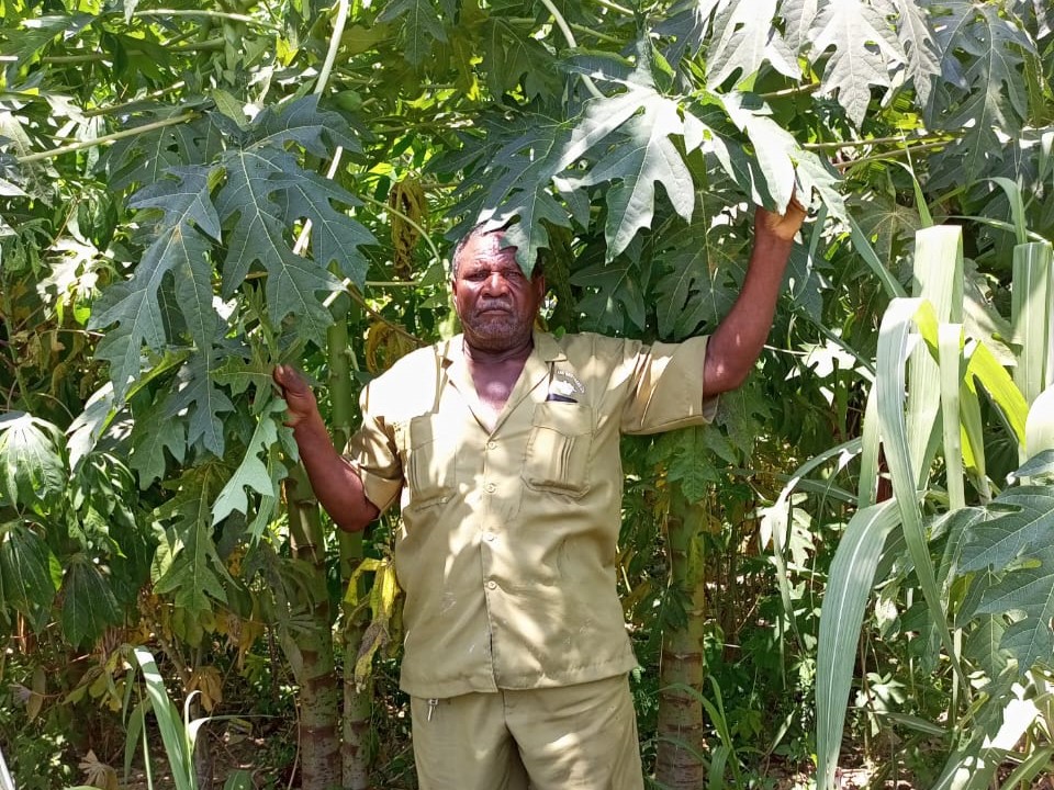 Mangrove Nursery at Moryani
